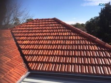 Roof Cleaning Sydney