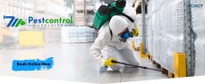 711 Pest Control Adelaide