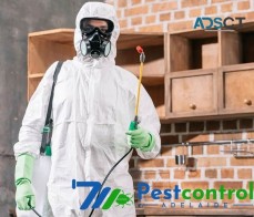 711 Pest Control Adelaide