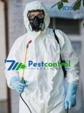 711 Pest Control Adelaide