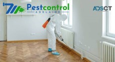 711 Pest Control Adelaide