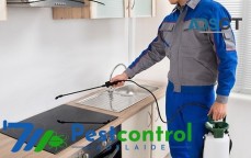 711 Pest Control Adelaide