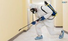 Pest Control Services Penrith