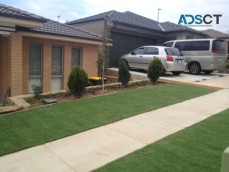 Affordable and the Best Landscaping Contractors in Canberra