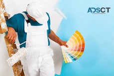 Enhance Your Home with Expert Painters in Sutherland Shire