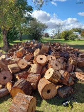 Split Seasoned Firewood