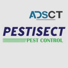 Pest Control Services in Brampton