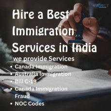 Best immigration consultant in india