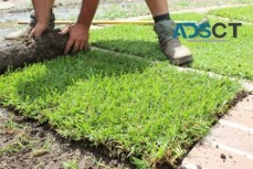 Hi Quality Turf Supplies Sydney