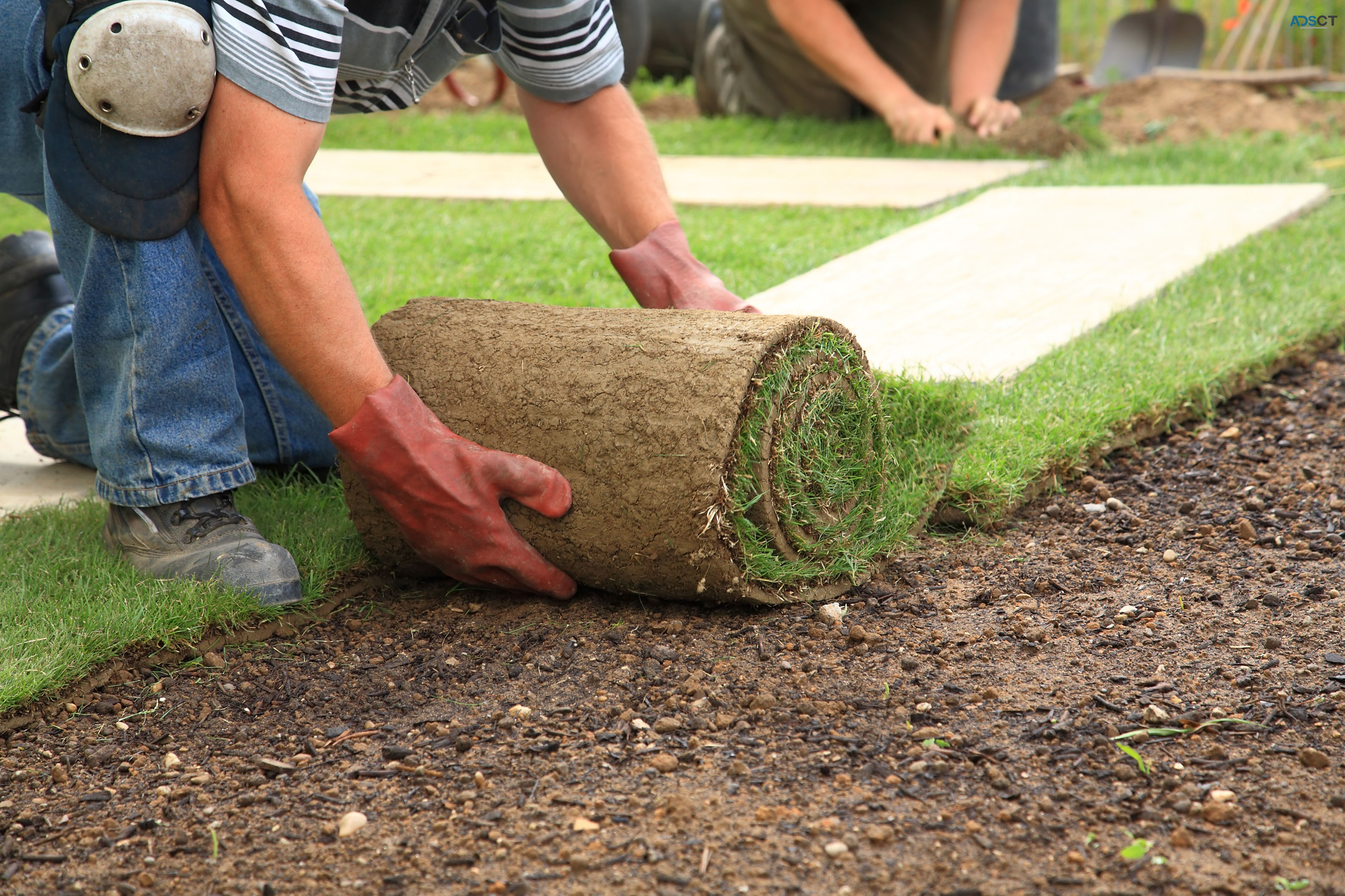 Hi Quality Turf Supplies Sydney