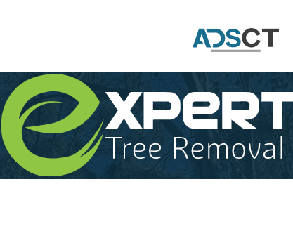 Expert Tree Removal