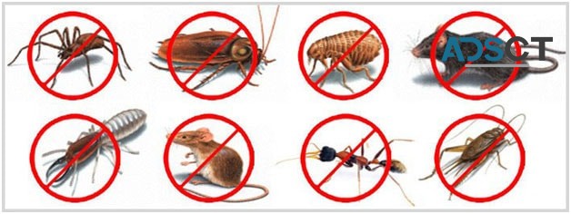 Premier Pest Control Services