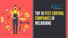 Top 10 Pest Control Companies In Melbourne