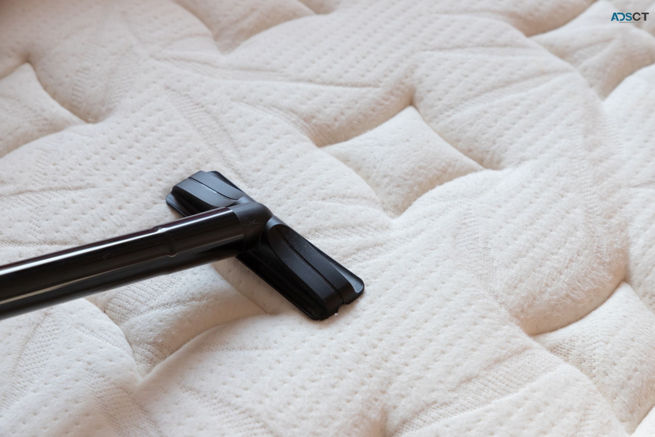 Rejuvenate Mattress Cleaning Brisbane