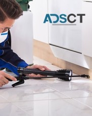 Know Some Standard Information on Commercial Pest Control in Sydney