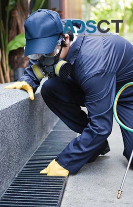 Know Some Standard Information on Commercial Pest Control in Sydney