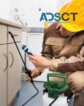 Know Some Standard Information on Commercial Pest Control in Sydney