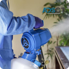 Expert Pest Technician in Melbourne: Your Solution to Pest Problems