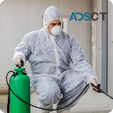 Expert Pest Technician in Melbourne: Your Solution to Pest Problems