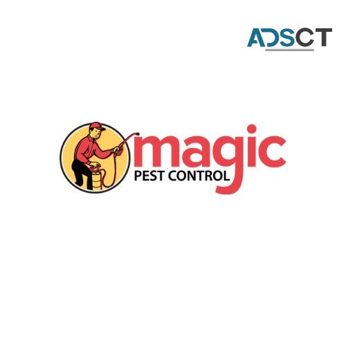 Best pest Control Brisbane - Magic pest control