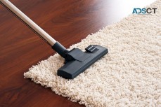 Carpet Cleaning In Laverton