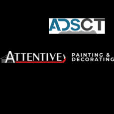 Attentive Quality Painter in Brisbane