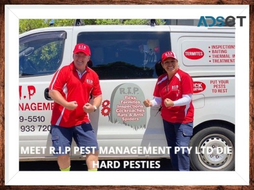 Ready to eliminate the pesky guests with the best pest control?