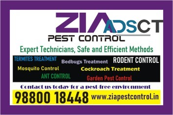 Cockroach  OR Bedbug Treatment service p