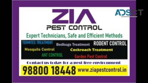 Cockroach Treatment Price List Rs. 1200 to Rs. 4500/- | Zia Pest Control | 1831