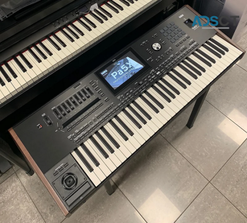 Korg PA5X 61 Keys Arranger Workstation