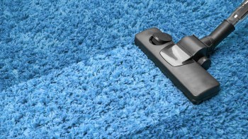 The Best 365-Day Carpet Cleaning Solution in Point Cook