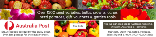 70% OFF On Standard Seed Packets | Happy