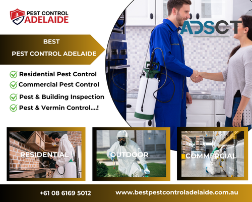 Building Pest Inspection in Adelaide | Book Now (08) 6169 5012