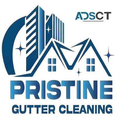 Pristine Gutter Cleaning