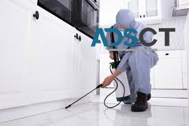 Pest Control Newcastle | Newcastle Pest Control Near Me | OZpest Solution