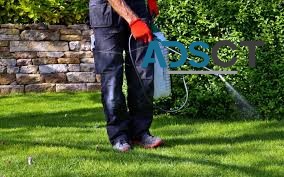 Pest Control Newcastle | Newcastle Pest Control Near Me | OZpest Solution