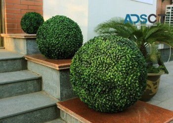 Large Boxwood Topiary Ball UV Resistant