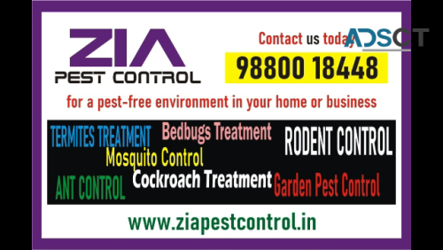 Zia Pest control service bangalore | Cockroach | Bedbug  | 1936