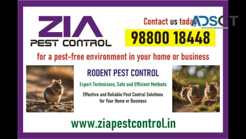  Zia Pest Control | Best service provided in bangalore | Cockroach  | 1896