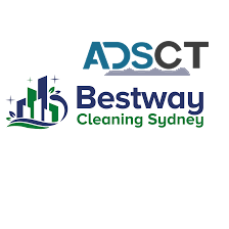 bestway cleaning