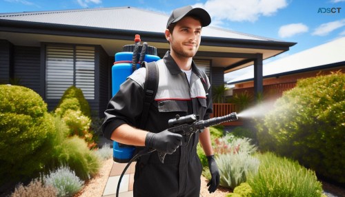 Effective Pest Control in Melbourne: Com