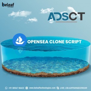 Opensea clone script Development