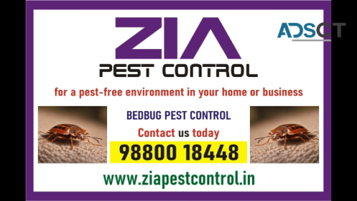 Zia Pest control | Bedbug Treatment Pric