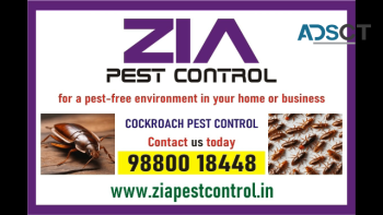 Zia pest control service | School Residence and office  Bangalore | 1961