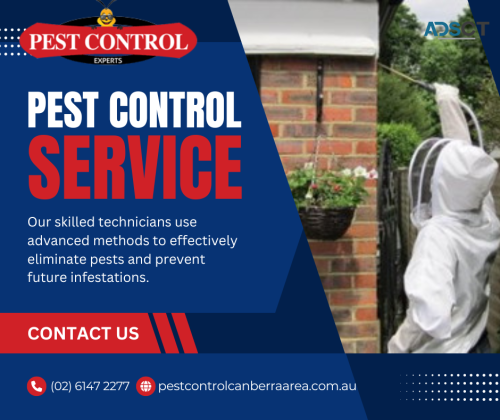 Effective Bee and Wasp Control in Canberra