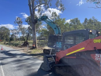 Tree Clearing