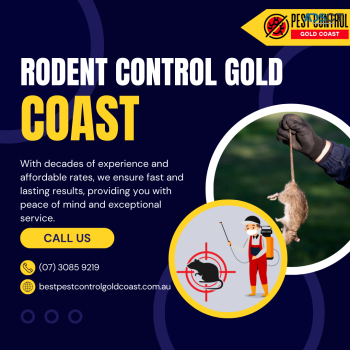 Get Rid of Mice – Expert Rat & Rodent Control Services on The Gold Coast