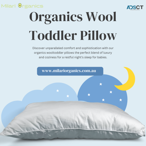 Best Organics Wool Toddler Pillow 