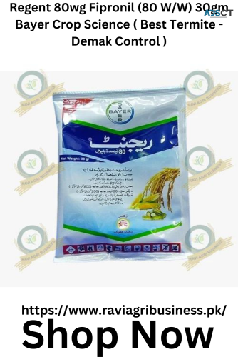 Regent 80WG Fipronil - Effective Termite Control for Crops