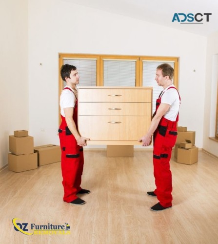 Specialist House Removalists - Your Hassle-Free Moving Option!